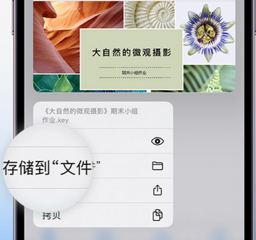 永昌apple维修中心分享iPhone文件应用中存储和找到下载文件