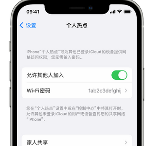 永昌apple服务站点分享iPhone上个人热点丢失了怎么办 