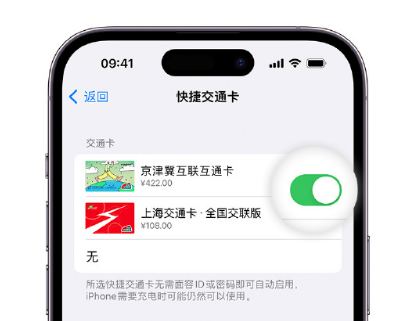 永昌apple维修点分享iPhone上更换Apple Pay快捷交通卡手绘卡面 