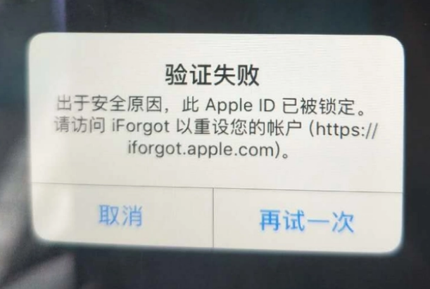 永昌iPhone维修分享iPhone上正常登录或使用AppleID怎么办 