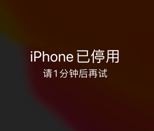 永昌苹果手机维修分享:iPhone 显示“不可用”或“已停用”怎么办？还能保留数据吗？ 