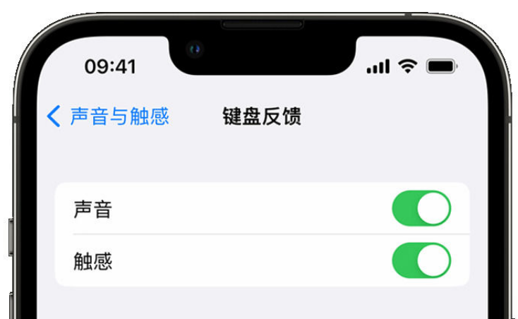 永昌苹果手机维修分享iPhone 14触感键盘使用方法 