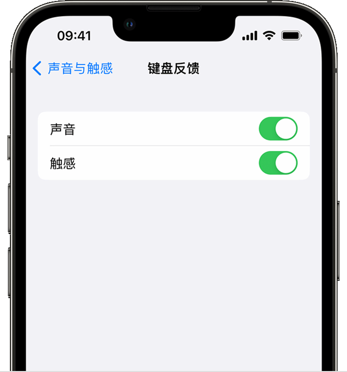 永昌苹果14维修店分享如何在 iPhone 14 机型中使用触感键盘 