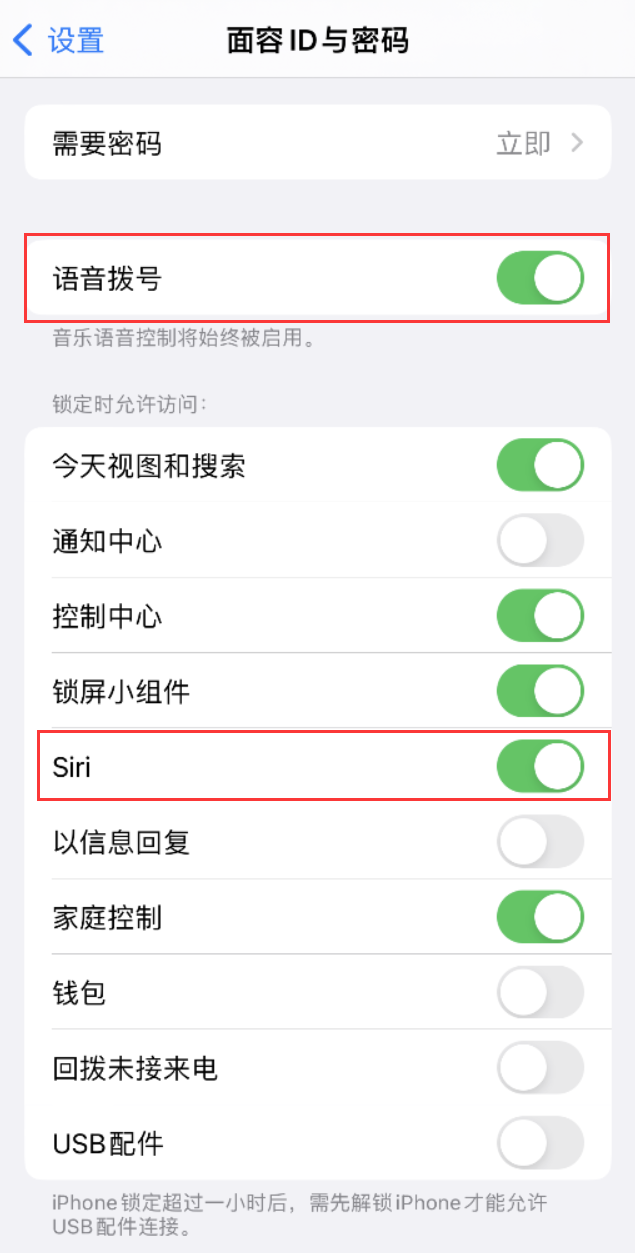 永昌苹果维修网点分享不解锁 iPhone 的情况下通过 Siri 拨打电话的方法 