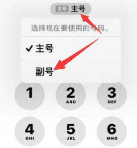 永昌苹果14维修店分享iPhone 14 Pro Max使用副卡打电话的方法 