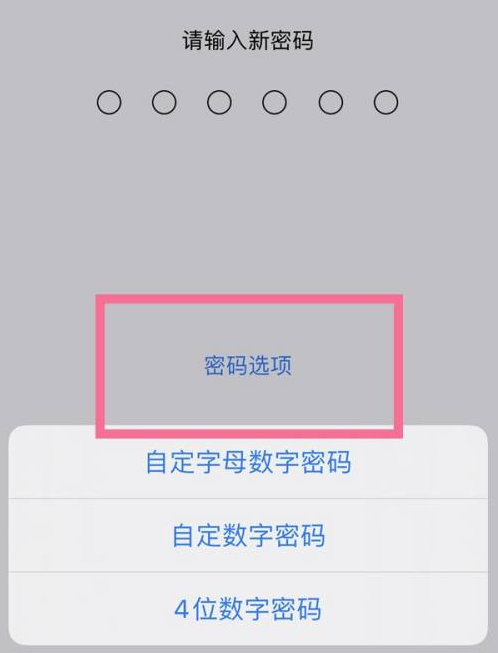 永昌苹果14维修分享iPhone 14plus设置密码的方法 